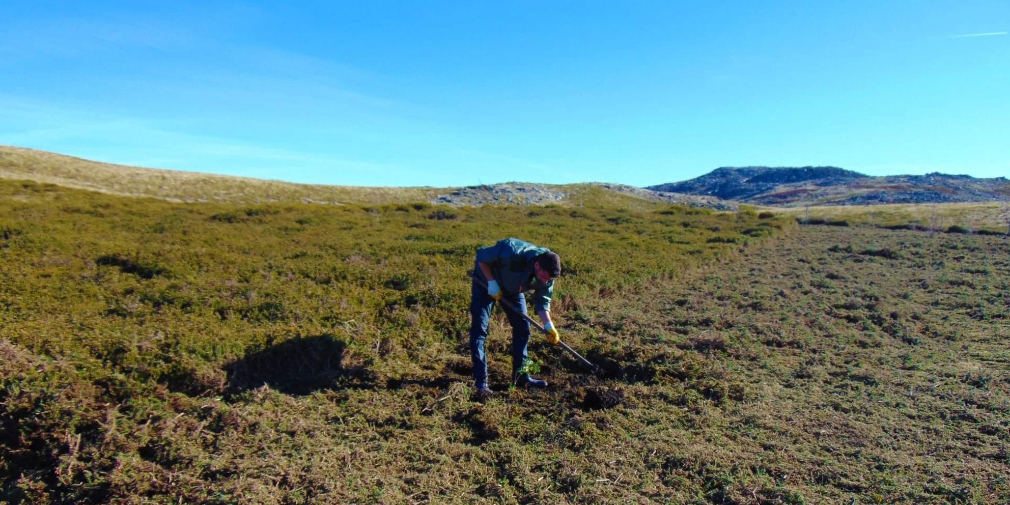 Plantação de Árvores - 19-03-2022